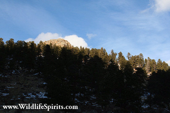 Click Picture to send as an  E-PostCard 64k 550x367